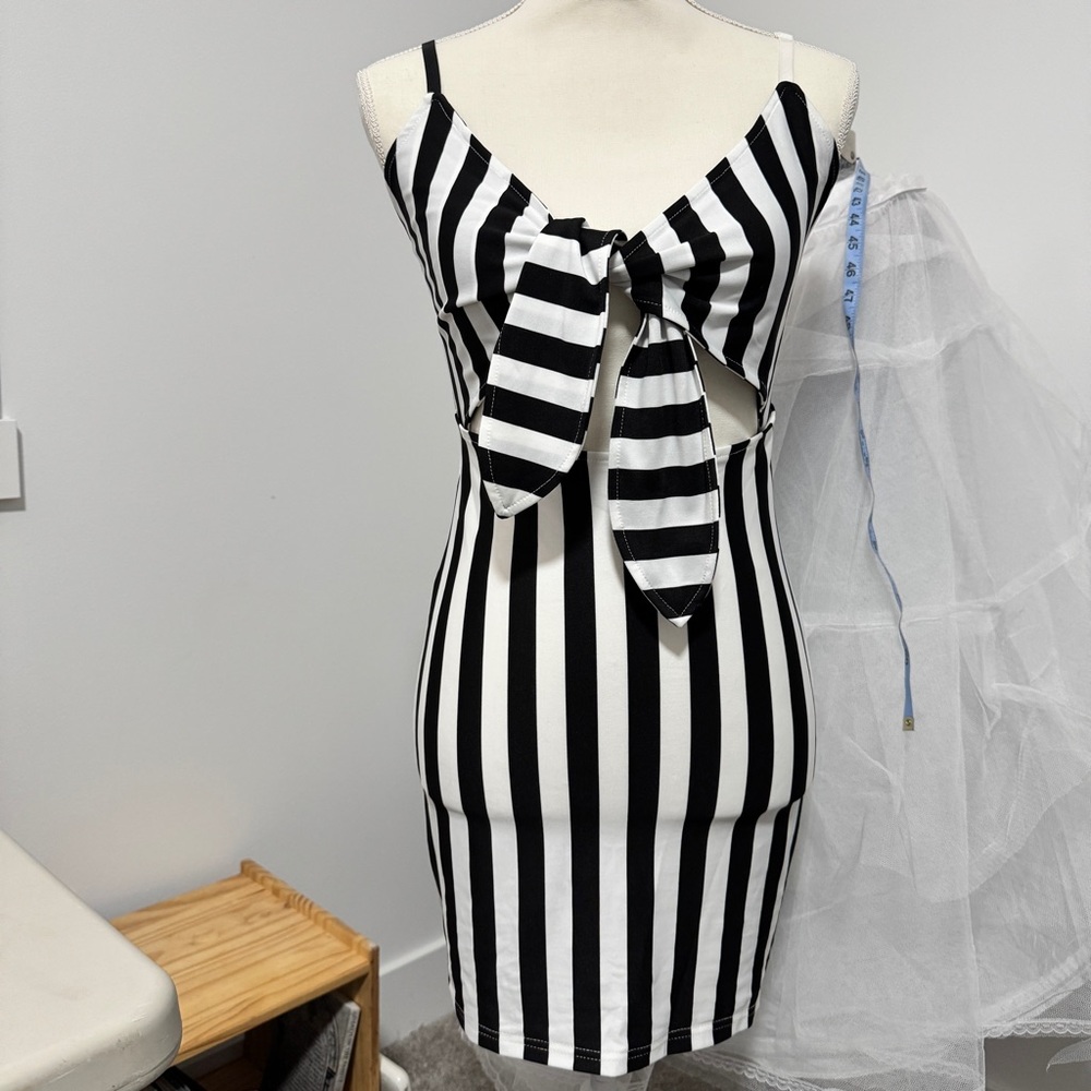Black and White Striped Dress
